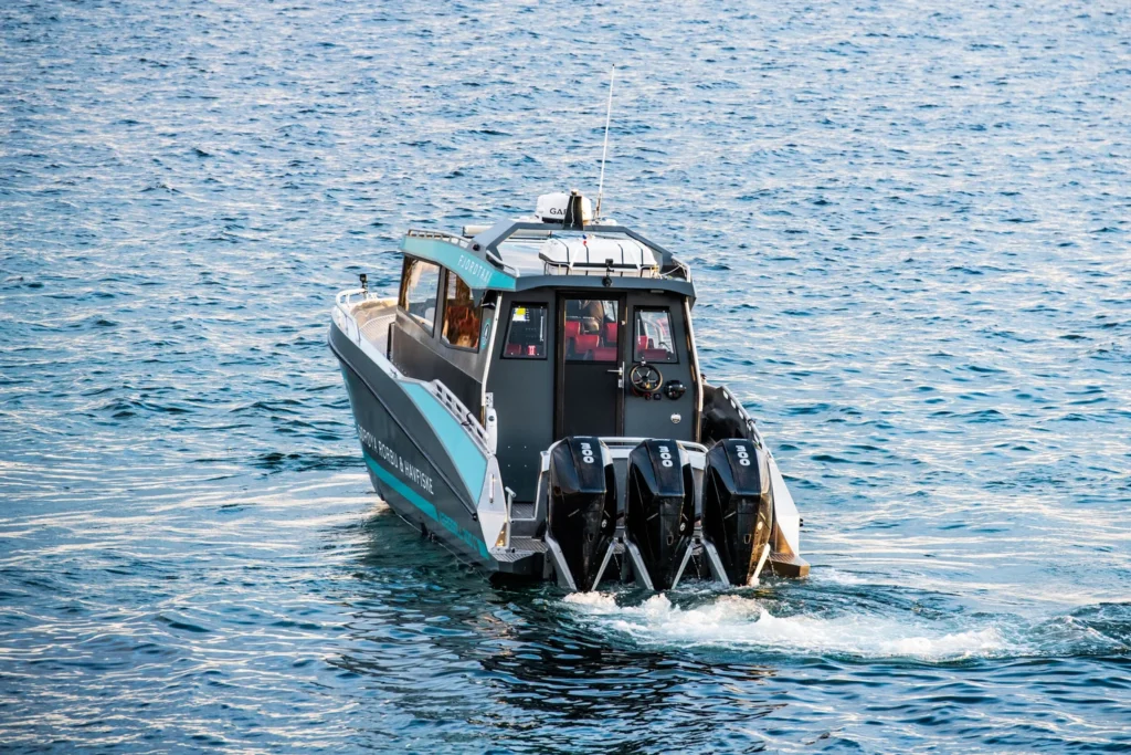 kaasboll_1100C-8506621